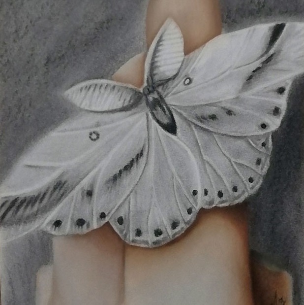 cuadro mariposa cuadro mariposa